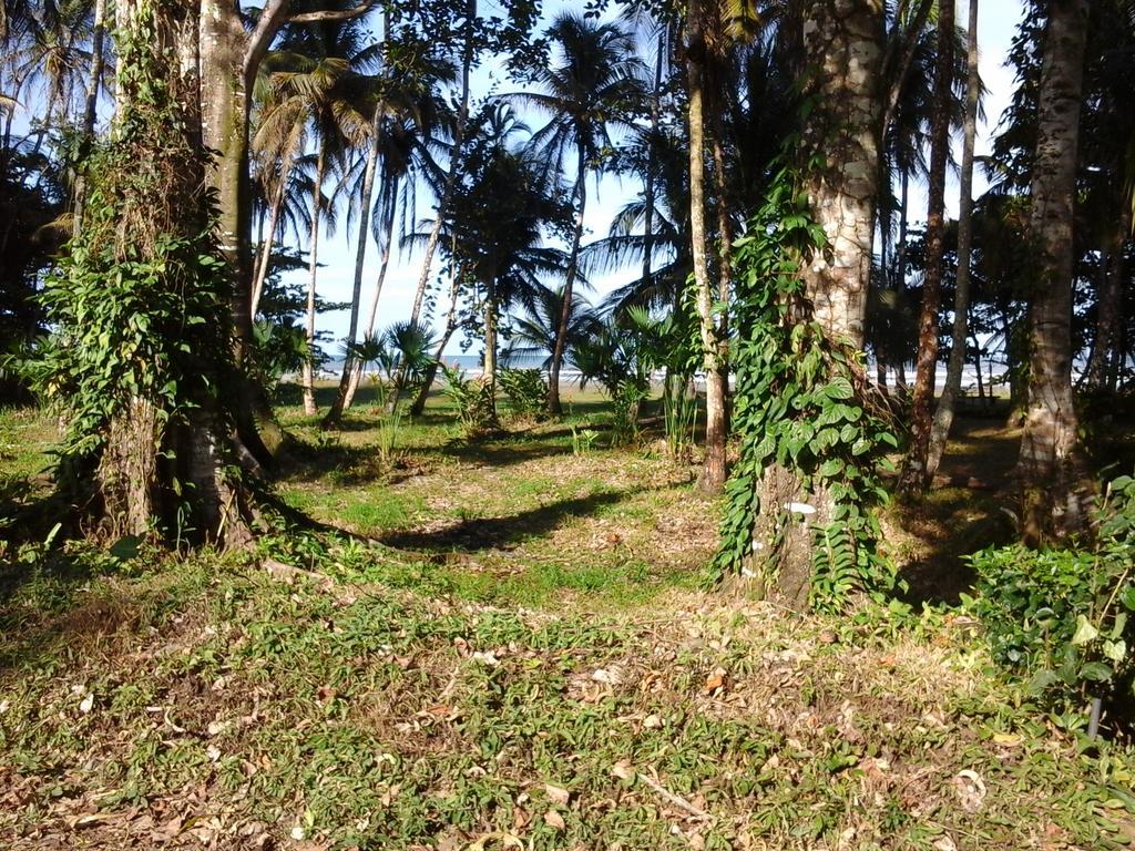 Kenaki Lodge Puerto Viejo de Talamanca Экстерьер фото