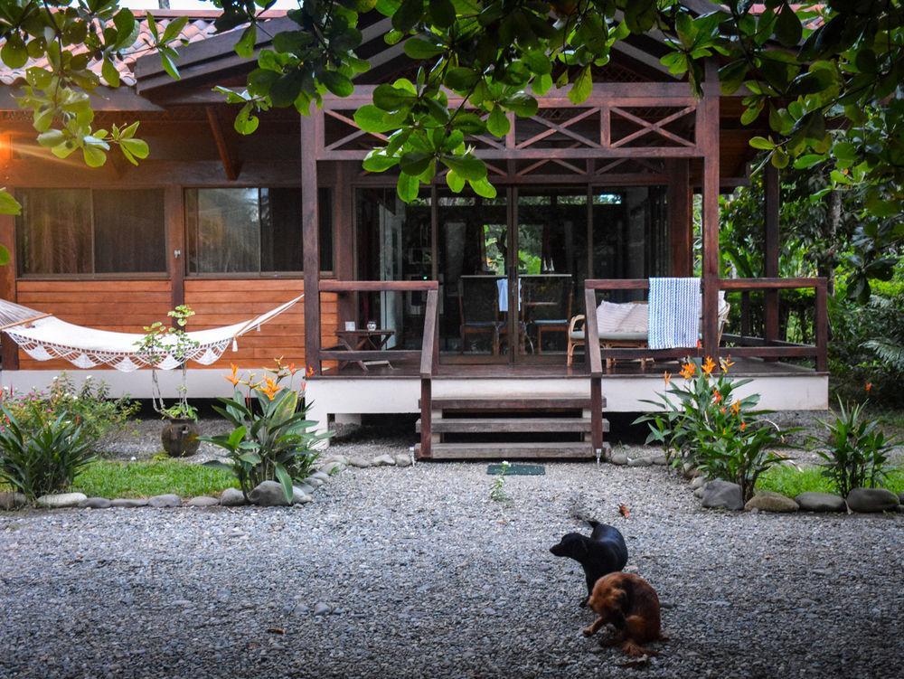 Kenaki Lodge Puerto Viejo de Talamanca Экстерьер фото
