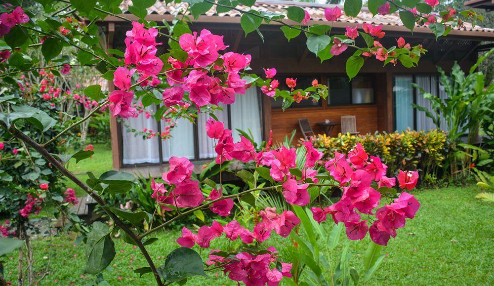 Kenaki Lodge Puerto Viejo de Talamanca Экстерьер фото