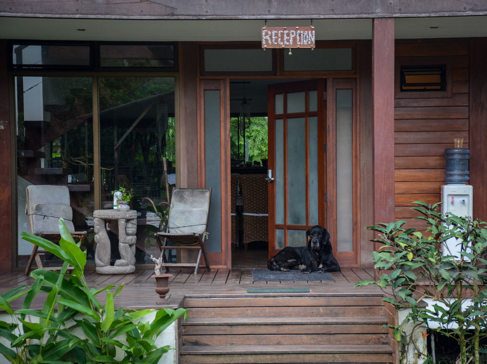 Kenaki Lodge Puerto Viejo de Talamanca Экстерьер фото